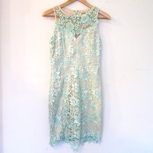 Aqua Tan Lace Body Con Dress